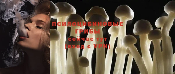 твердый Киреевск