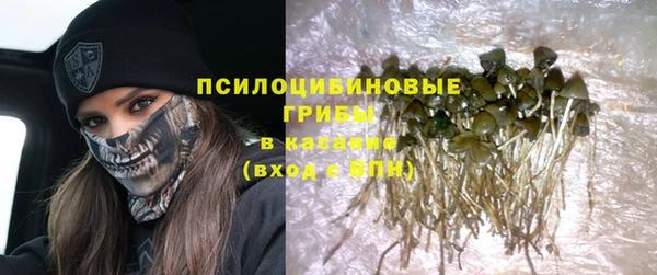 твердый Киреевск