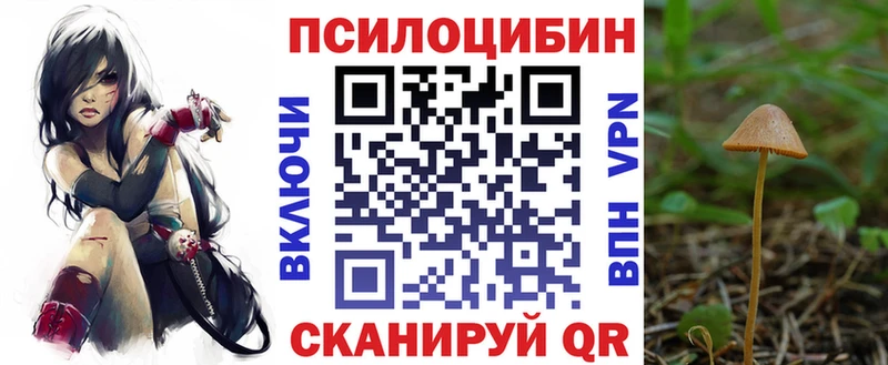Псилоцибиновые грибы прущие грибы  Купить  Тейково 