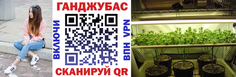 Купить где  Тейково  Бошки Шишки сатива 